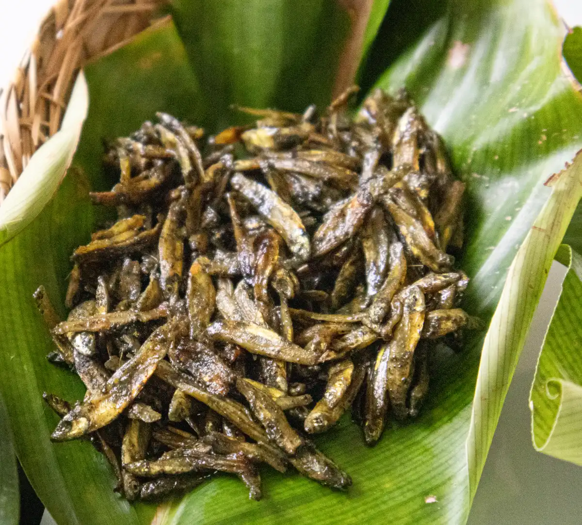 Non-Veg Delights of the Jaintias